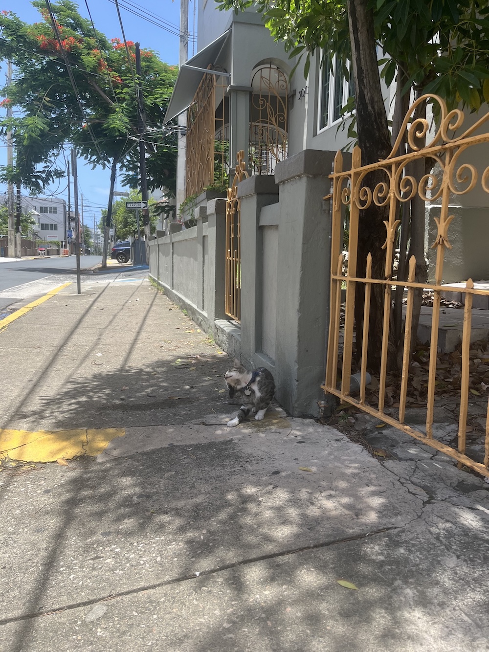 santurce