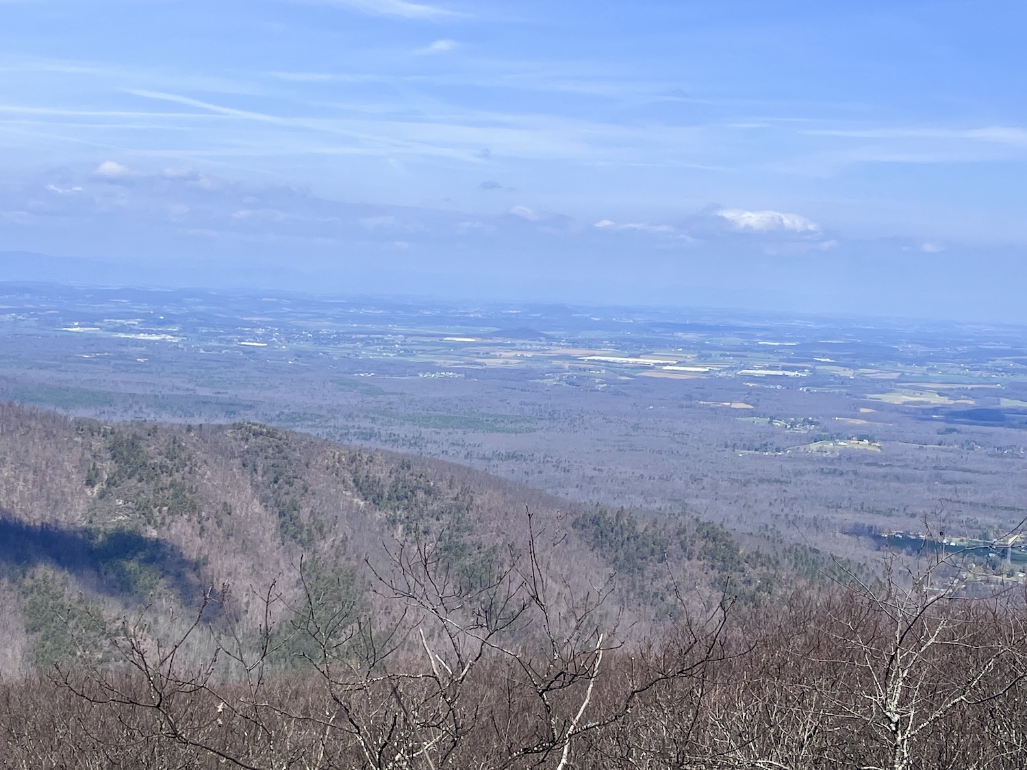 Wintergreen3