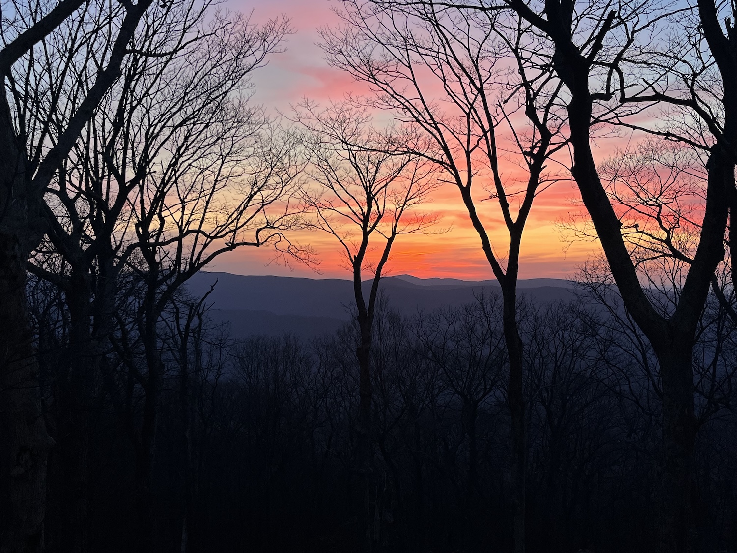 Wintergreen4